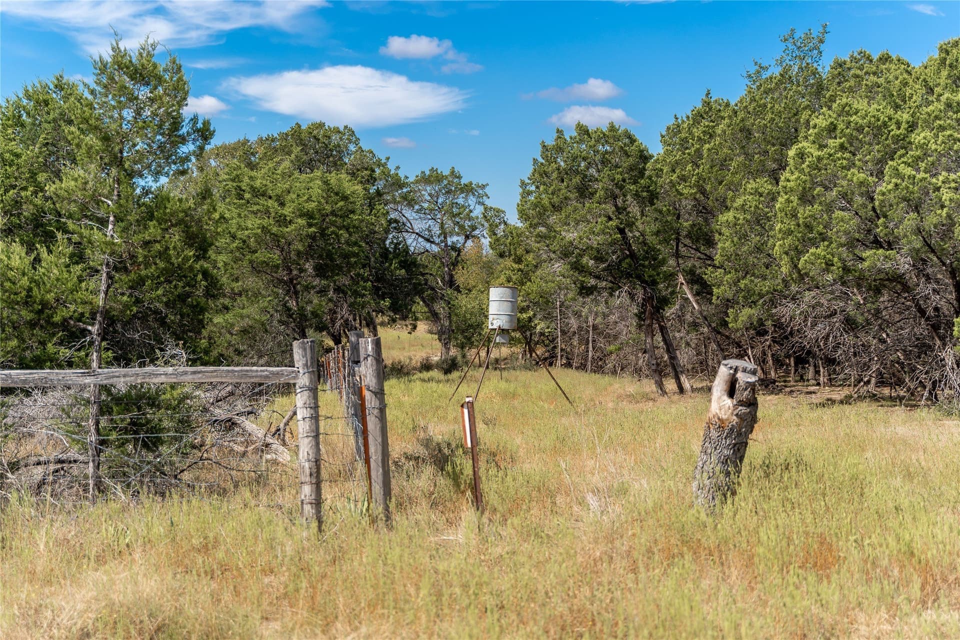 66.99 acres in Bell County - photo 10