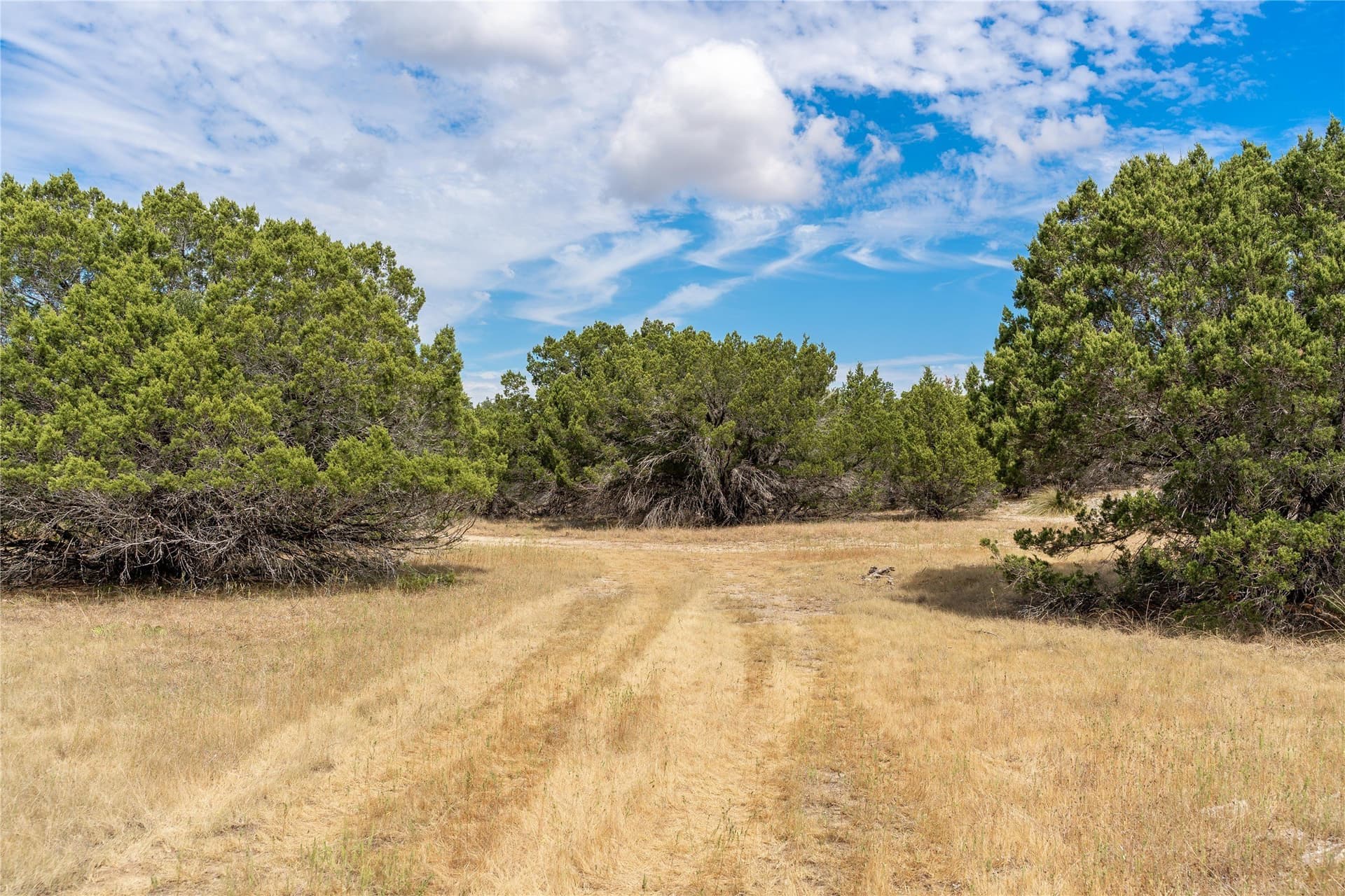 66.99 acres in Bell County - photo 15