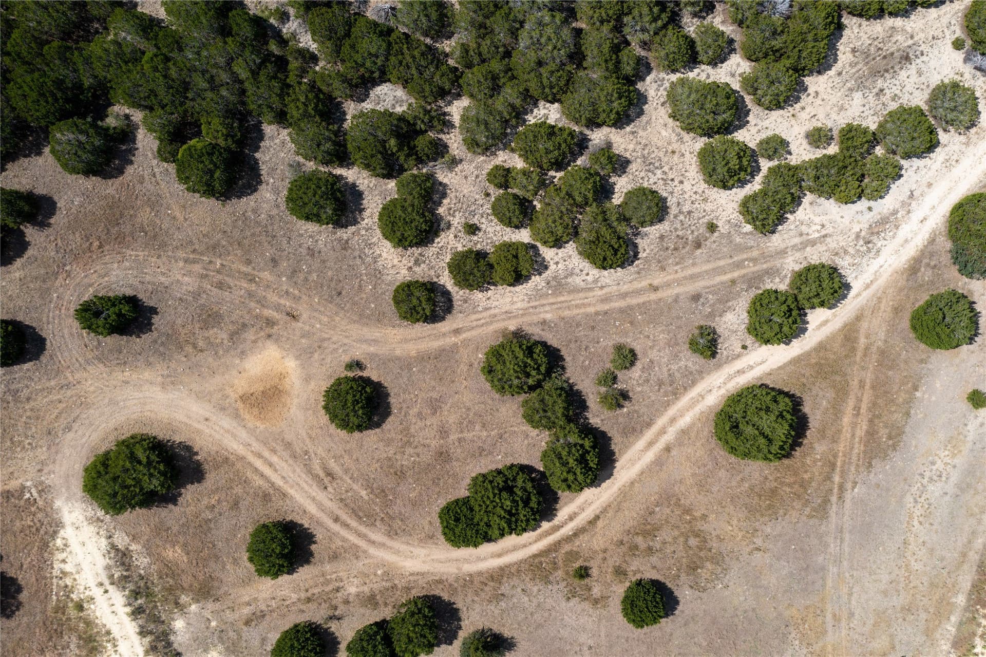 66.99 acres in Bell County - photo 21
