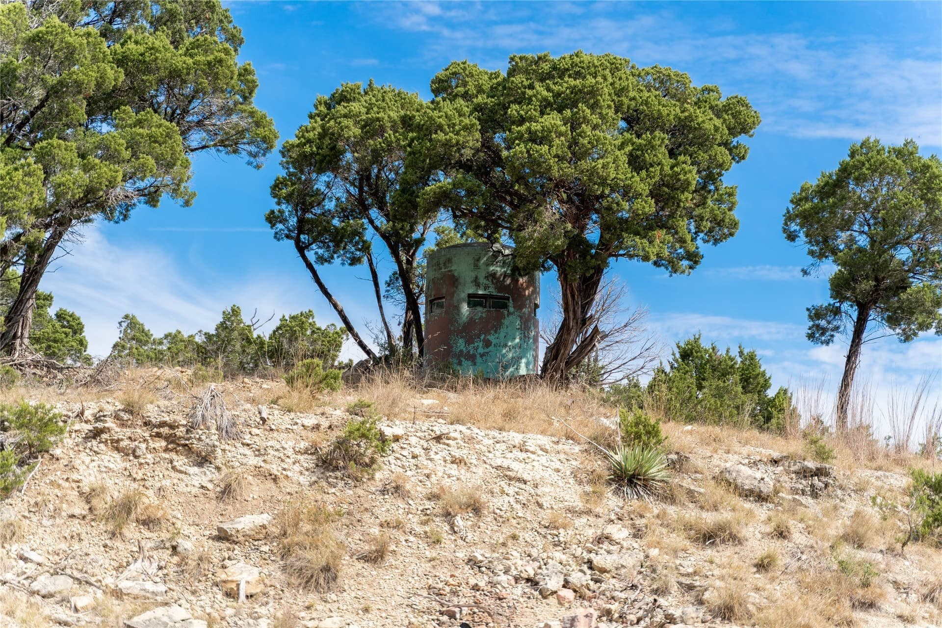 66.99 acres in Bell County - photo 12