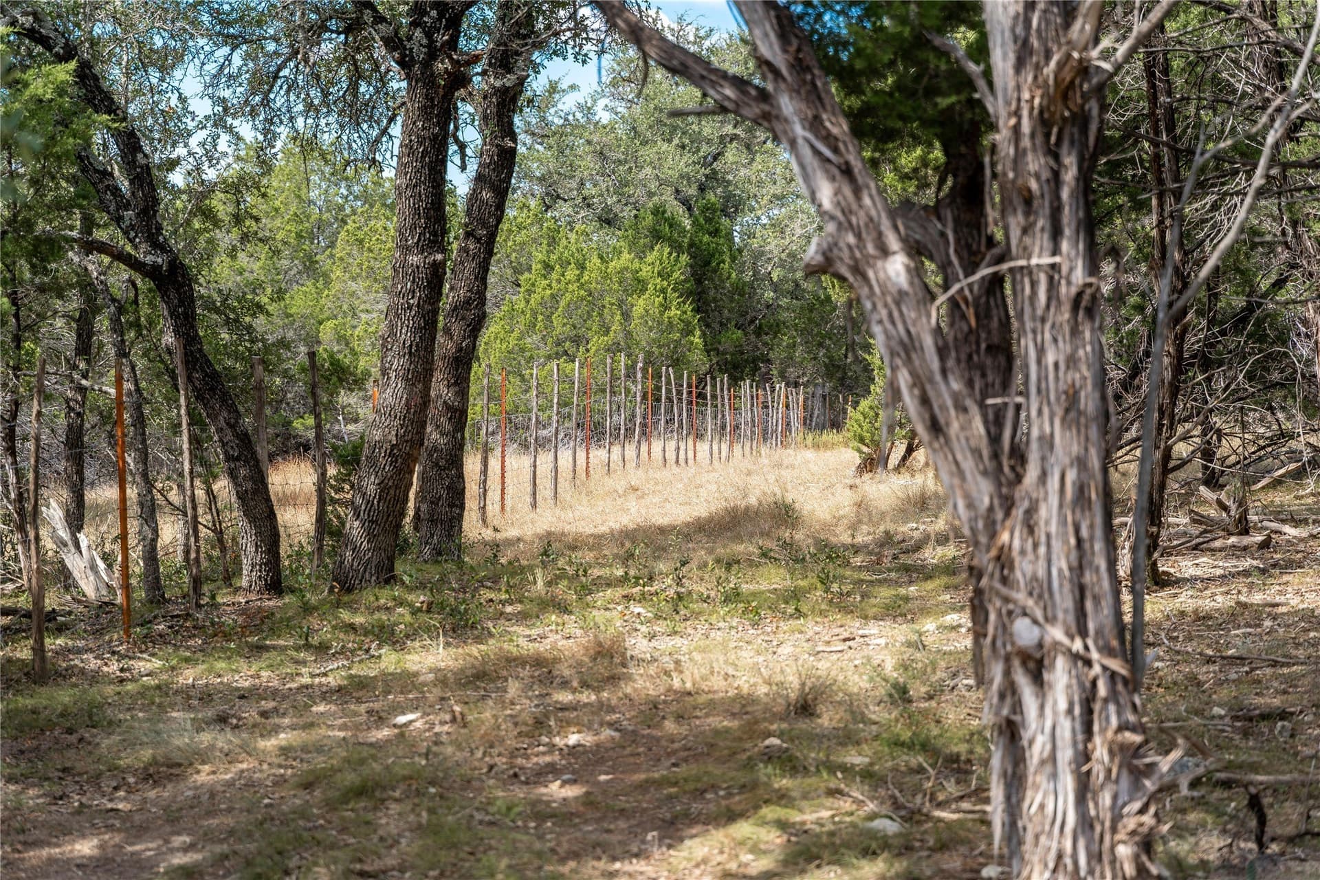 66.99 acres in Bell County - photo 14