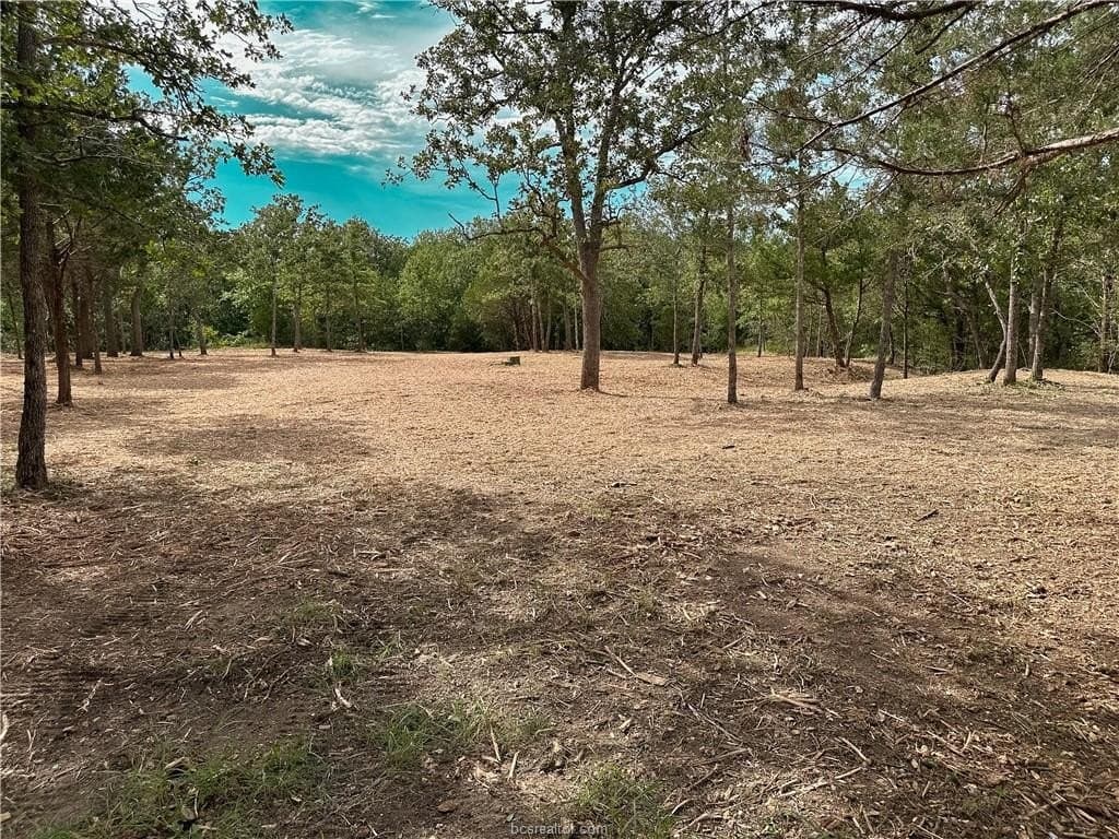 1.39 acres in Burleson County gallery image 3