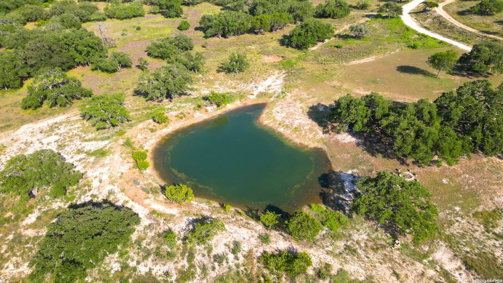 57 acres in Blanco County - photo 24