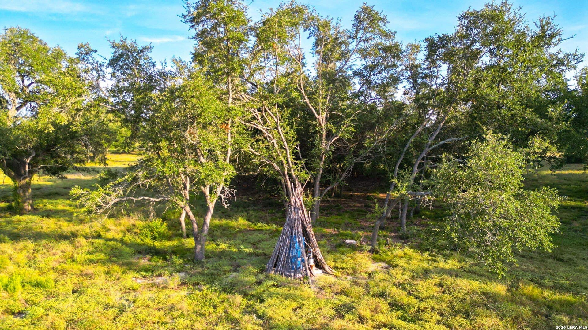 57 acres in Blanco County - photo 22