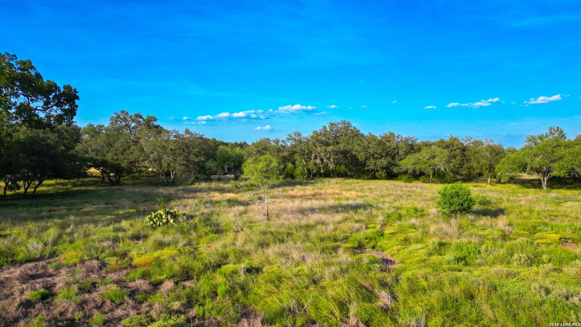 57 acres in Blanco County - photo 20