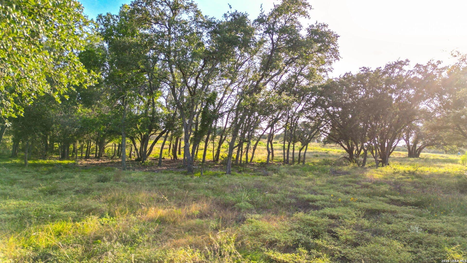 57 acres in Blanco County - photo 28