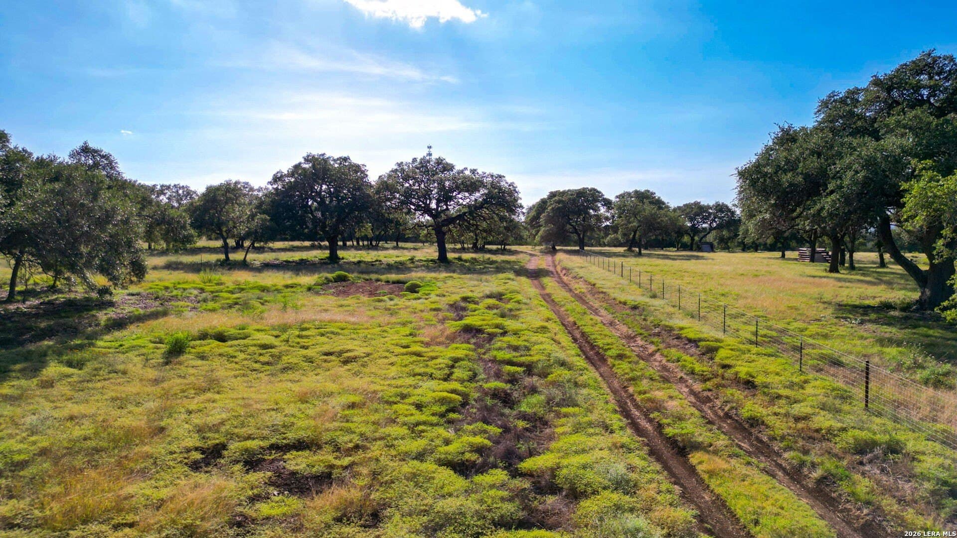 57 acres in Blanco County - photo 17