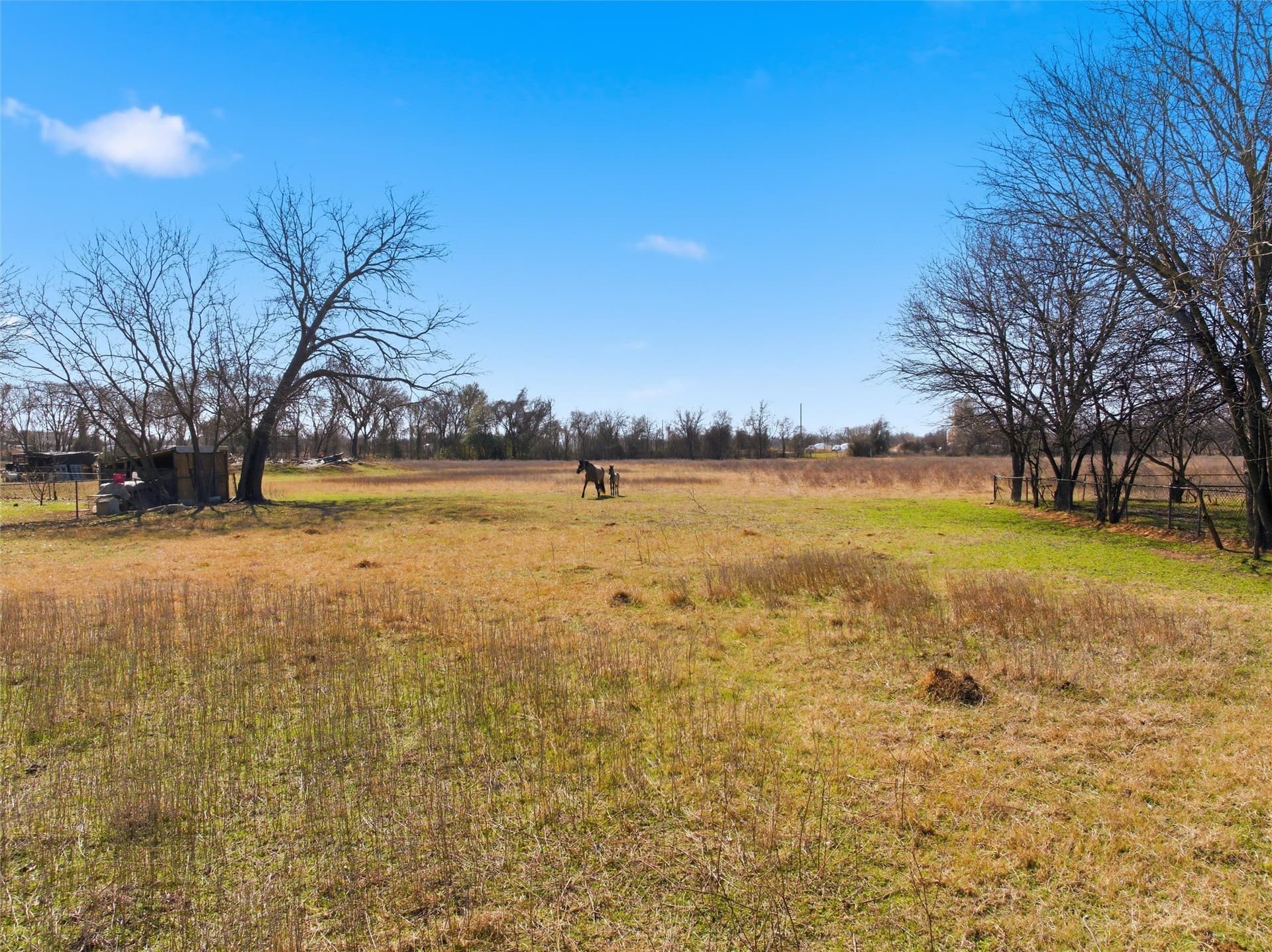 10.87 acres in McLennan County - photo 15