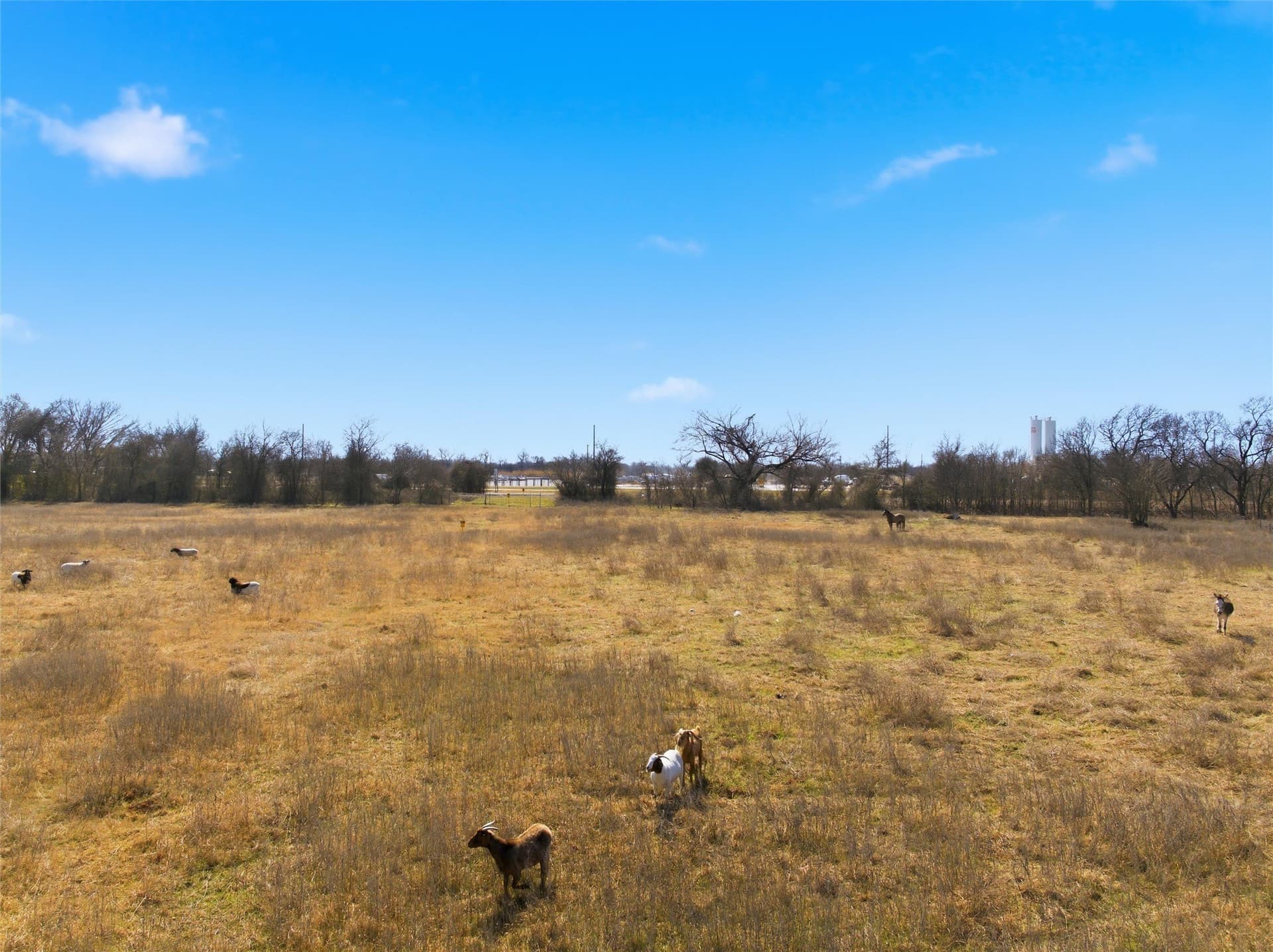 10.87 acres in McLennan County - photo 12