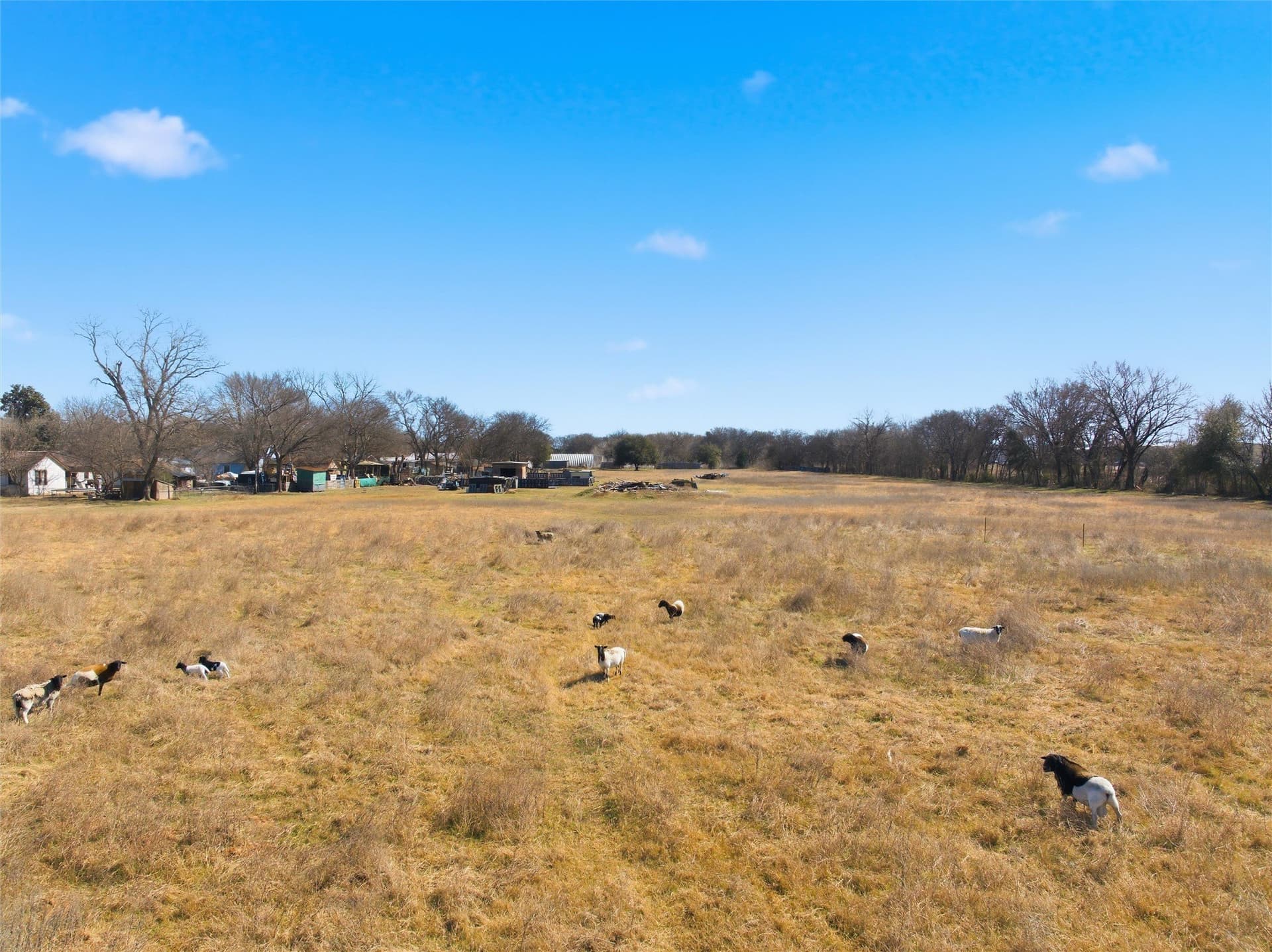 10.87 acres in McLennan County - photo 11