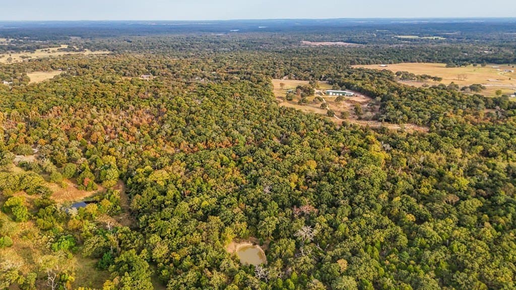20.47 acres in Henderson County - photo 10