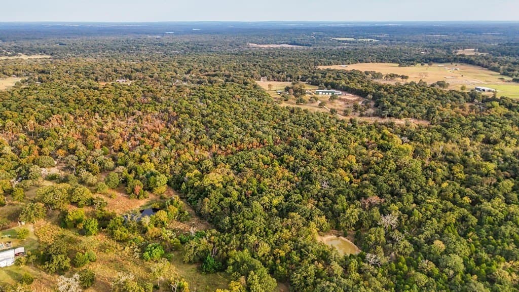 20.47 acres in Henderson County - photo 9