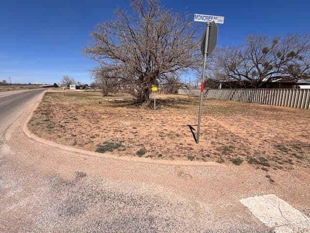 0.22 acres in Scurry County gallery image 2