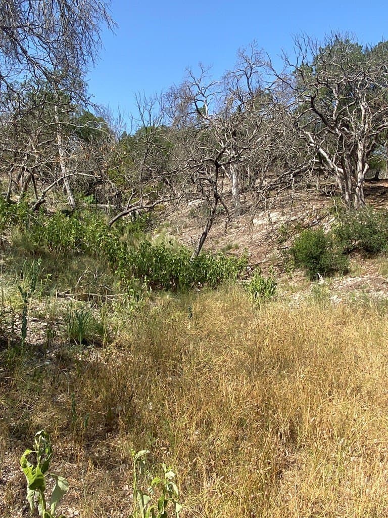 1.86 acres in Kerr County - photo 7