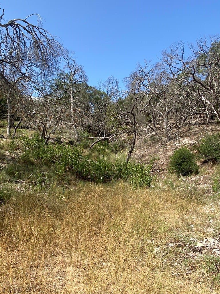 1.86 acres in Kerr County - photo 6