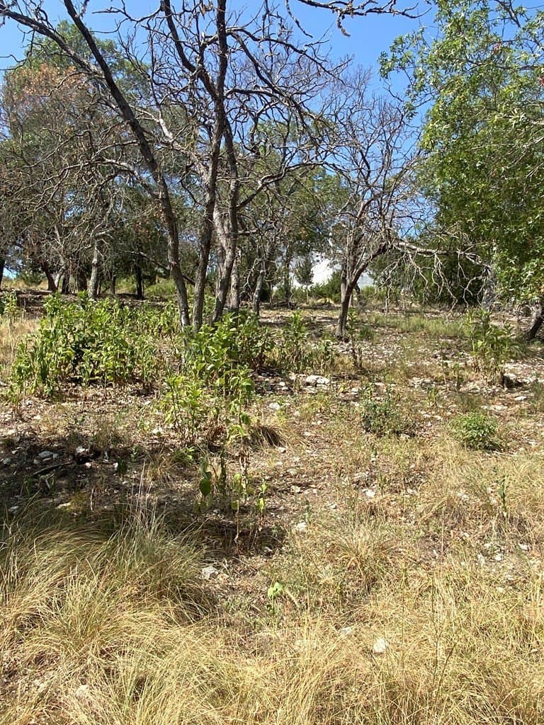 1.86 acres in Kerr County - photo 11