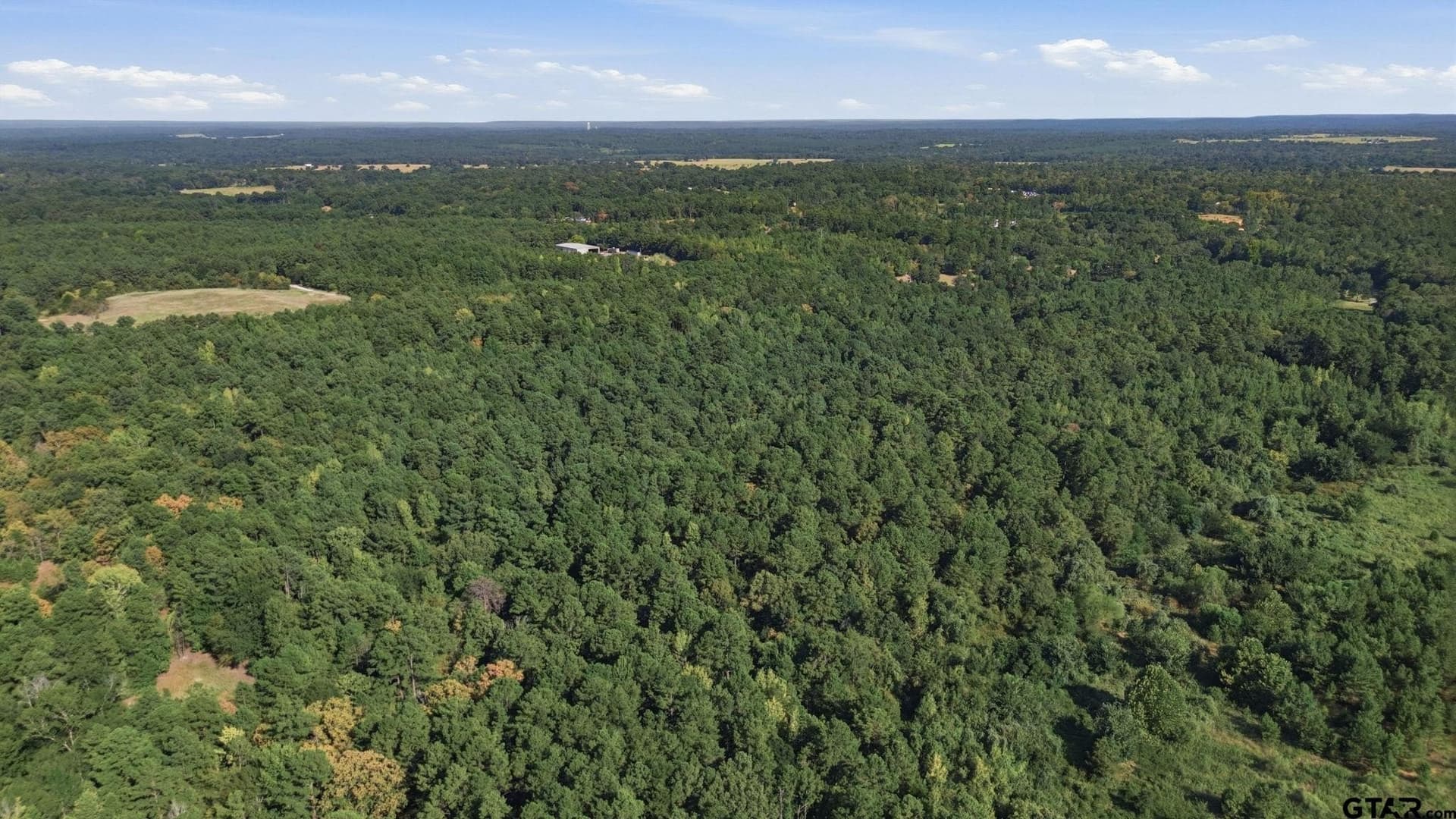 73.86 acres in Anderson County - photo 15