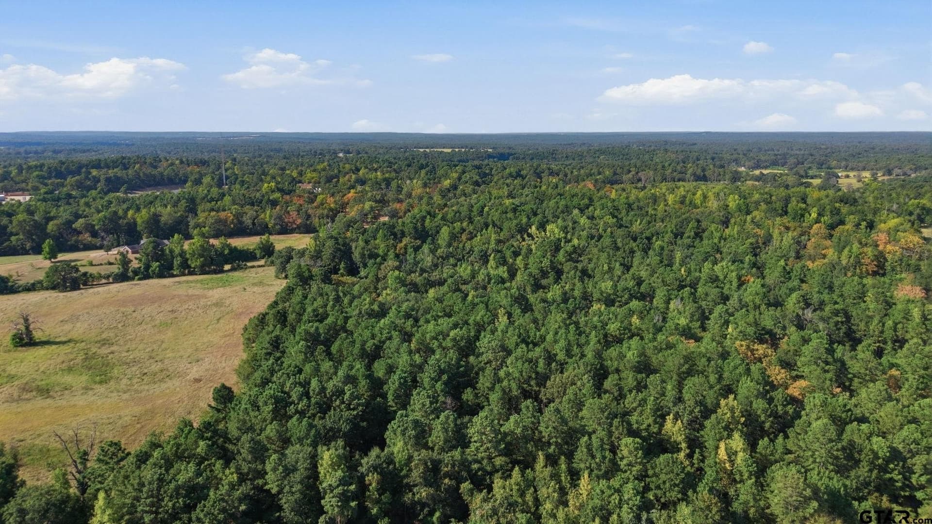 73.86 acres in Anderson County - photo 4