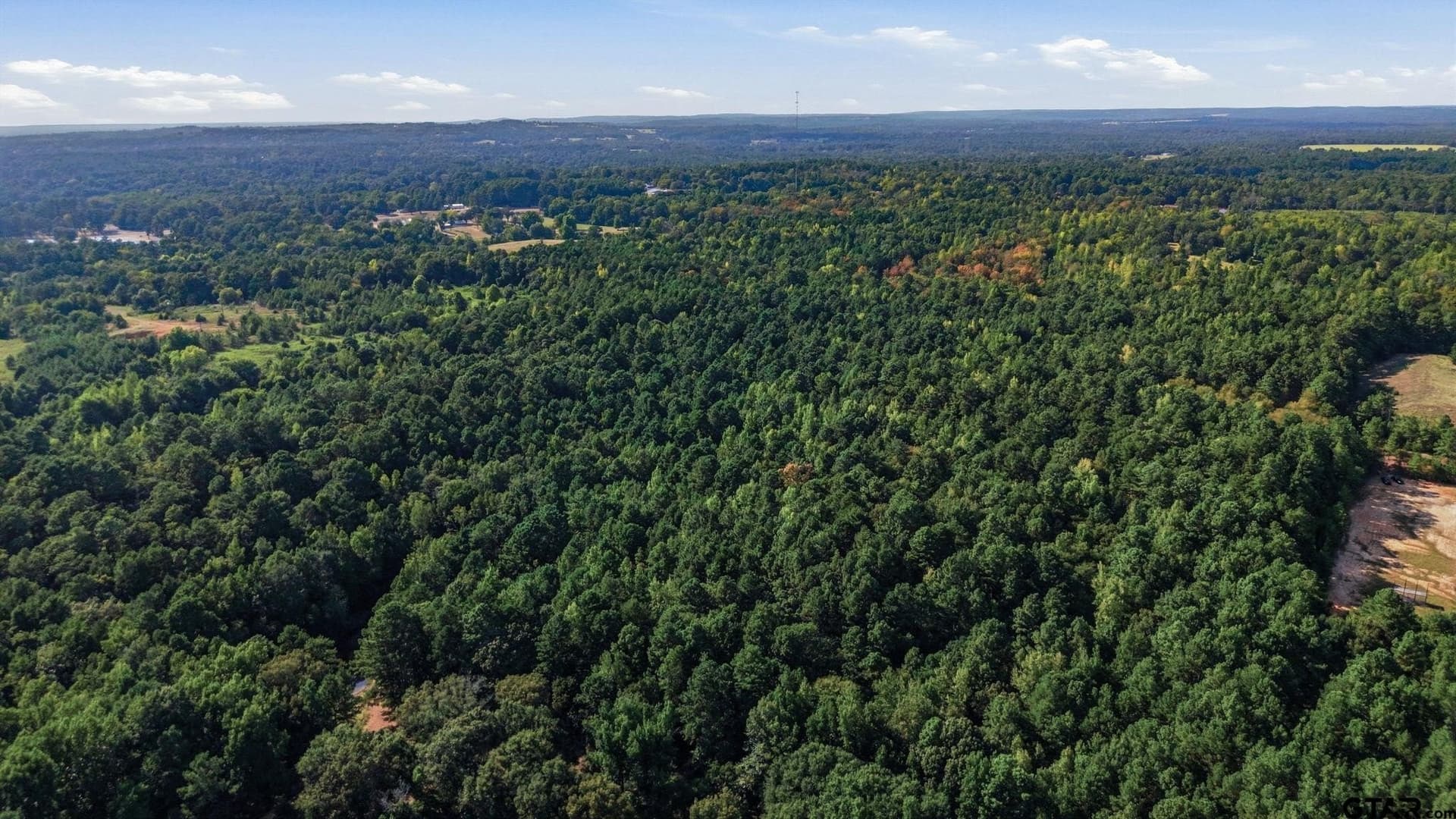 73.86 acres in Anderson County - photo 12