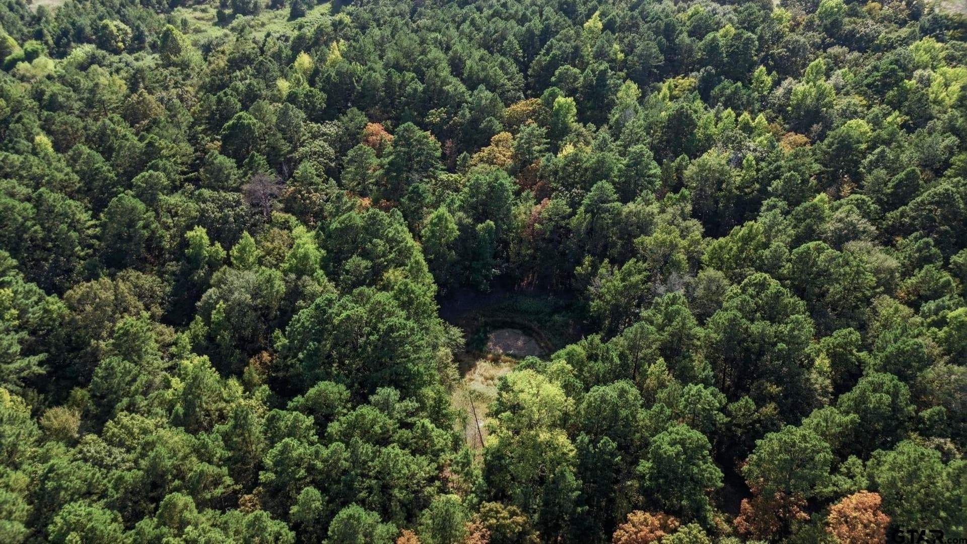 73.86 acres in Anderson County - photo 14