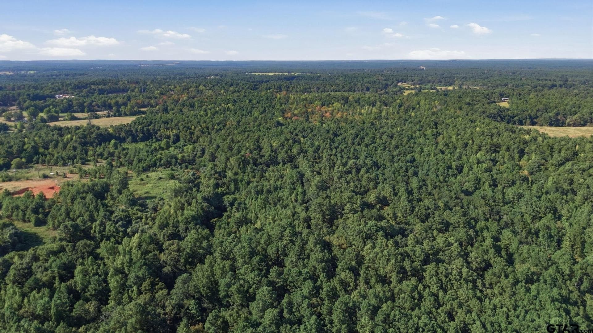 73.86 acres in Anderson County - photo 5