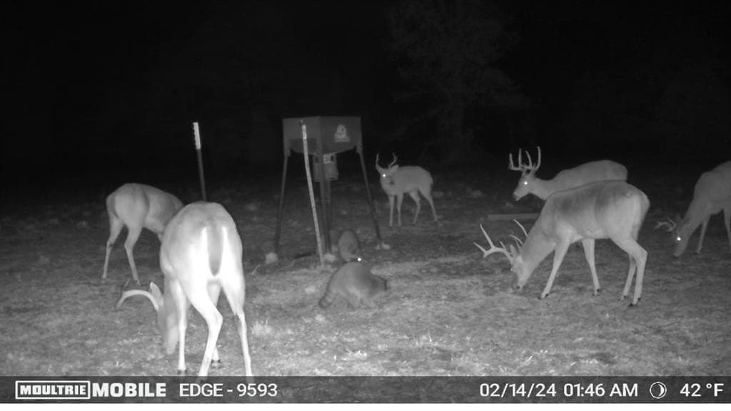 10.5 acres in Henderson County gallery image 3