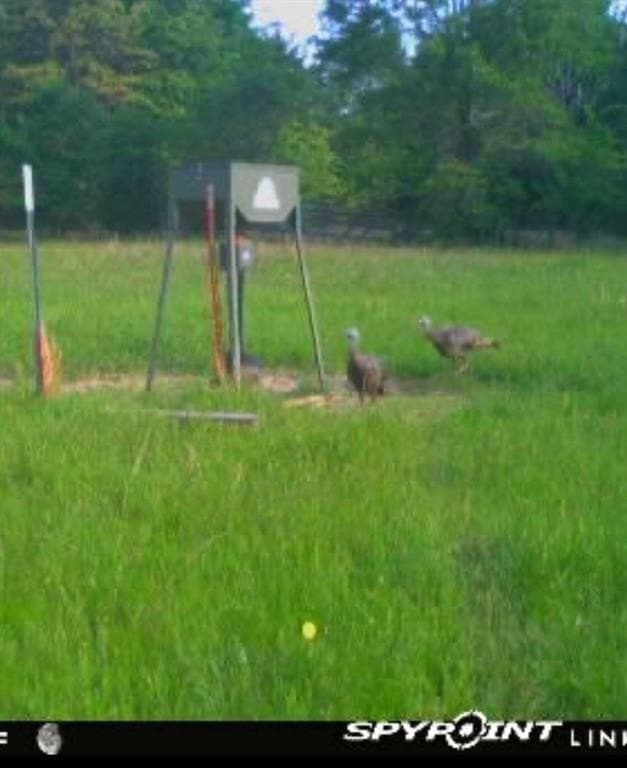 10.5 acres in Henderson County featured view