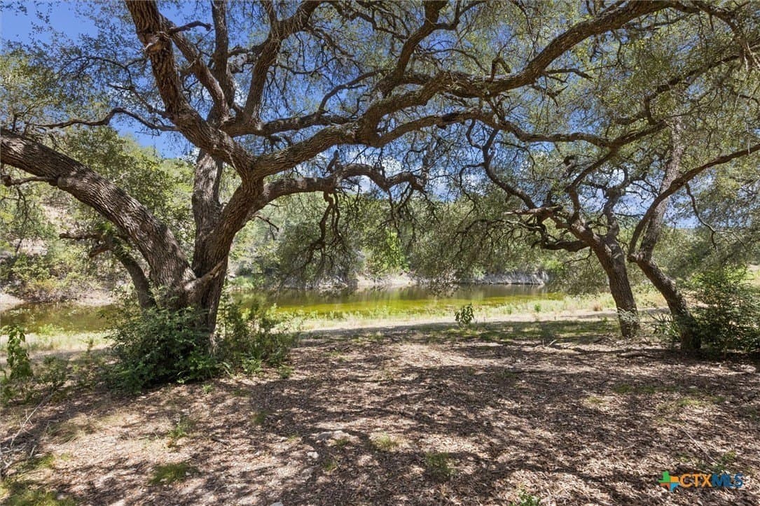 100.4 acres in Comal County - photo 14