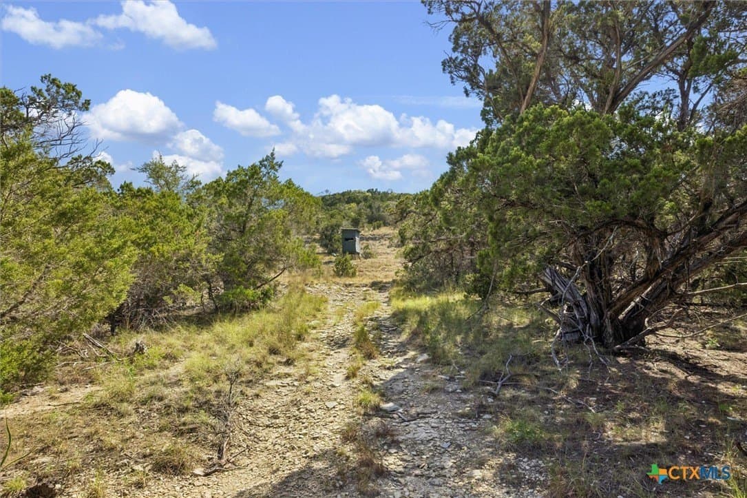 100.4 acres in Comal County - photo 28