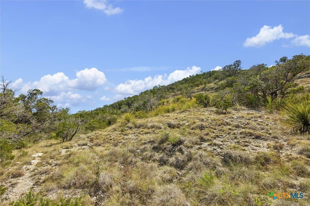100.4 acres in Comal County - photo 24