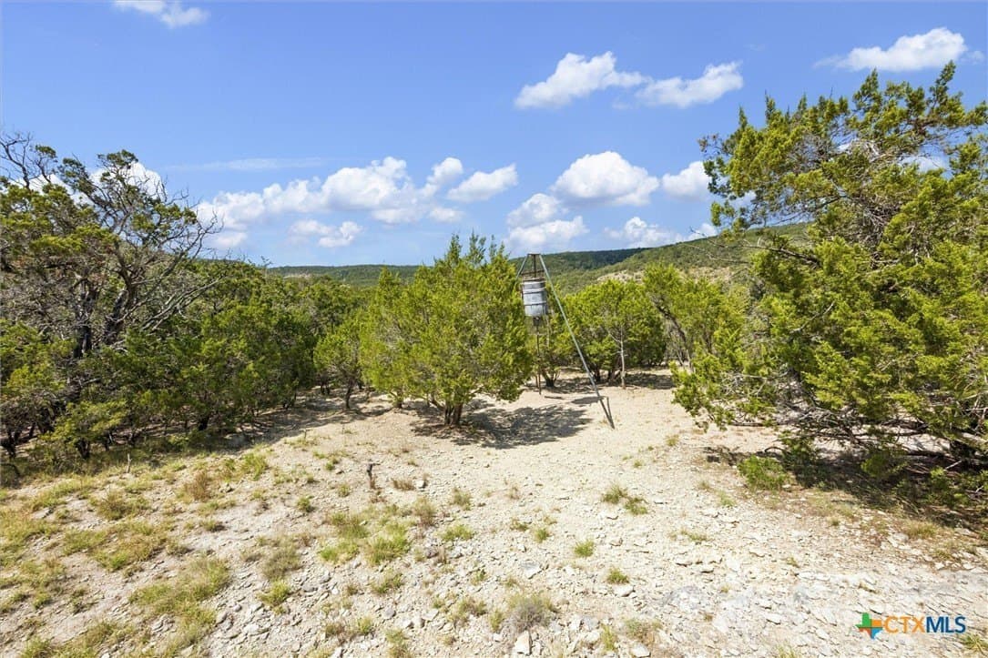 100.4 acres in Comal County - photo 27