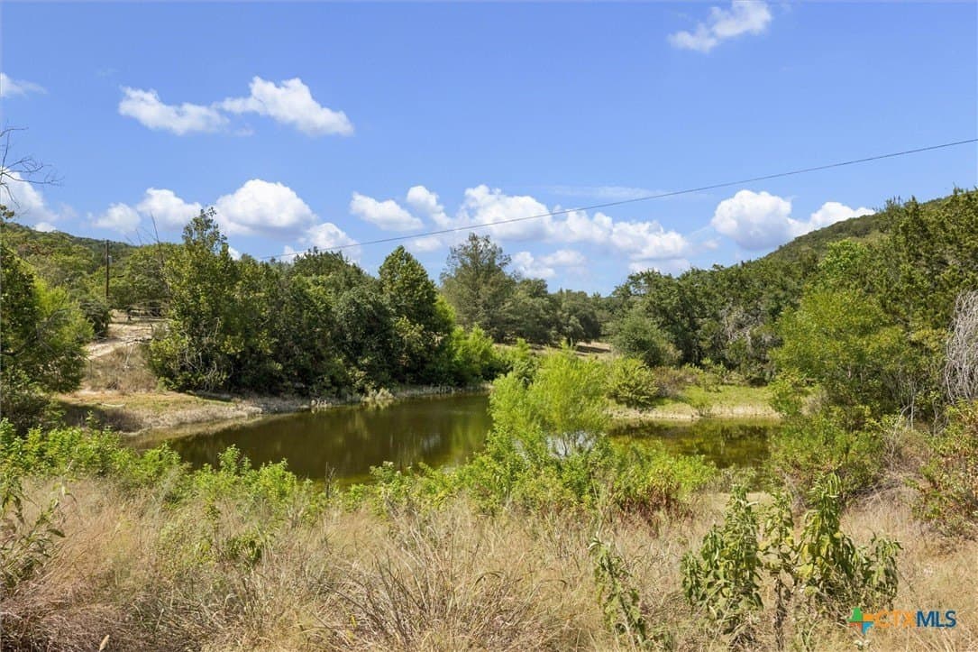 100.4 acres in Comal County - photo 18