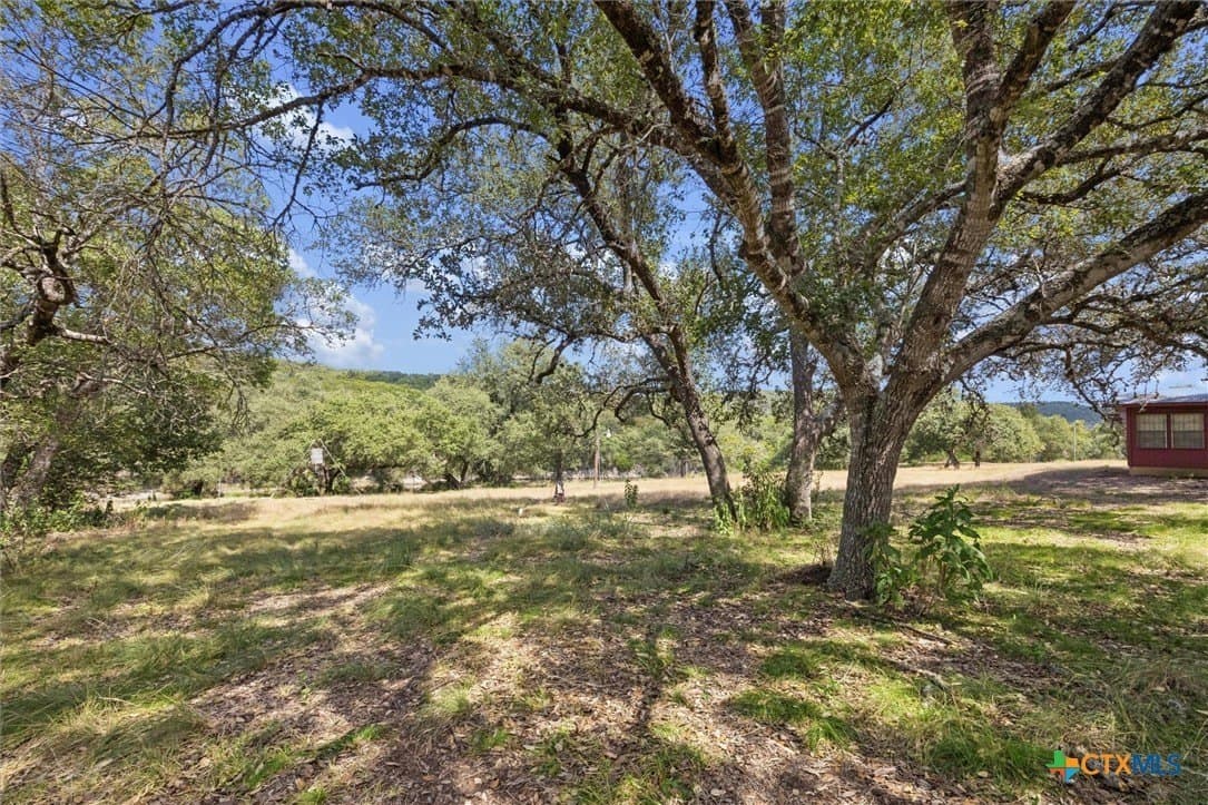 100.4 acres in Comal County - photo 31