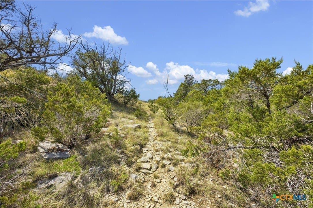 100.4 acres in Comal County - photo 26