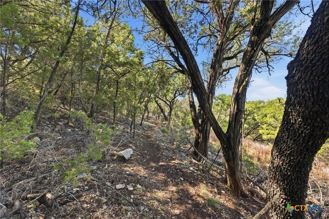 0.81 acres in Comal County - photo 16