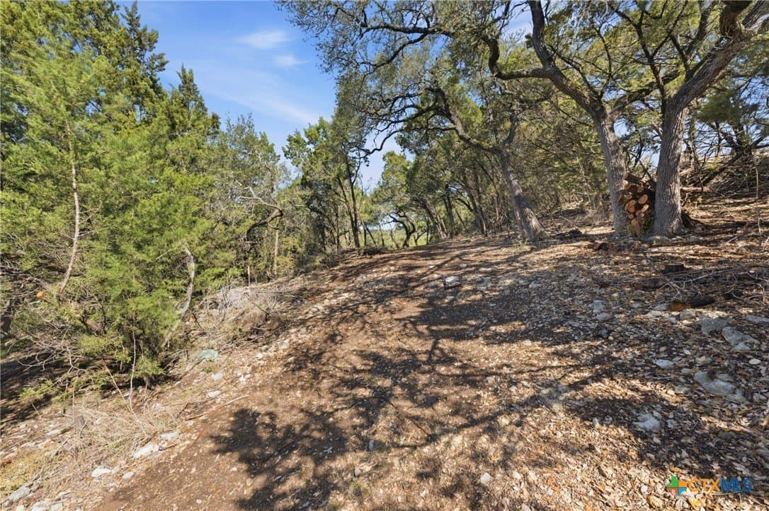 0.81 acres in Comal County - photo 7
