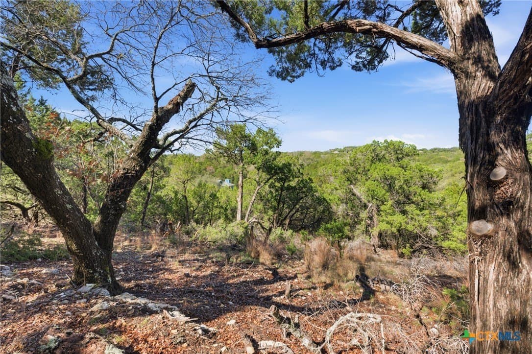 0.81 acres in Comal County - photo 13