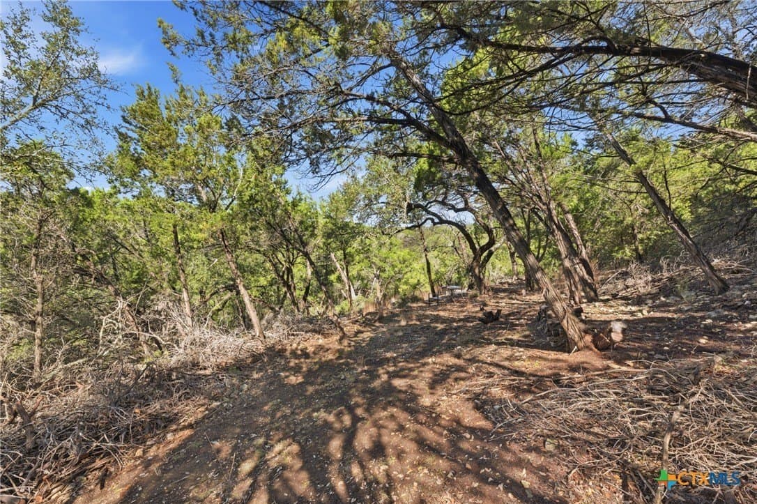 0.81 acres in Comal County - photo 10