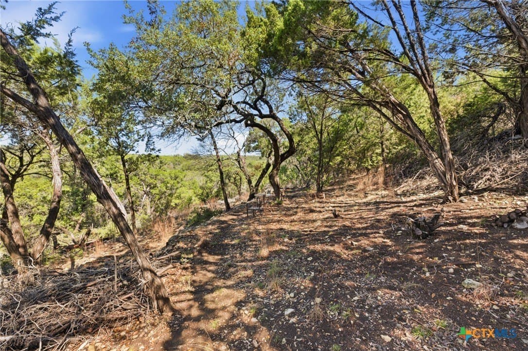 0.81 acres in Comal County - photo 11