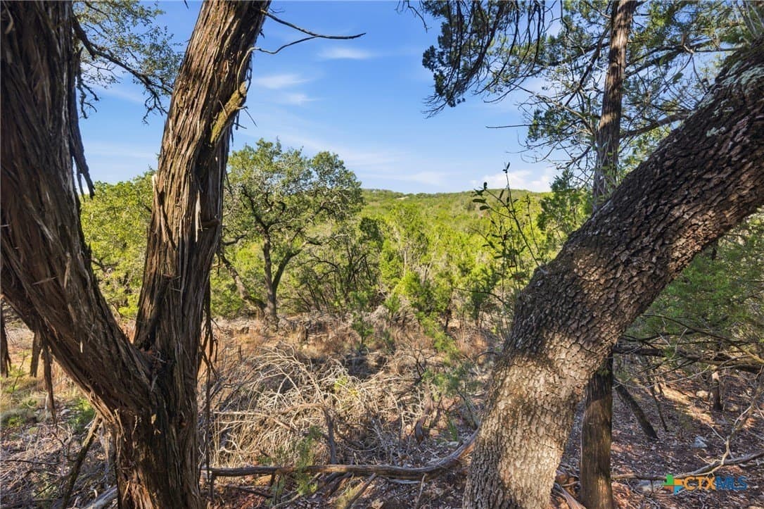 0.81 acres in Comal County - photo 15