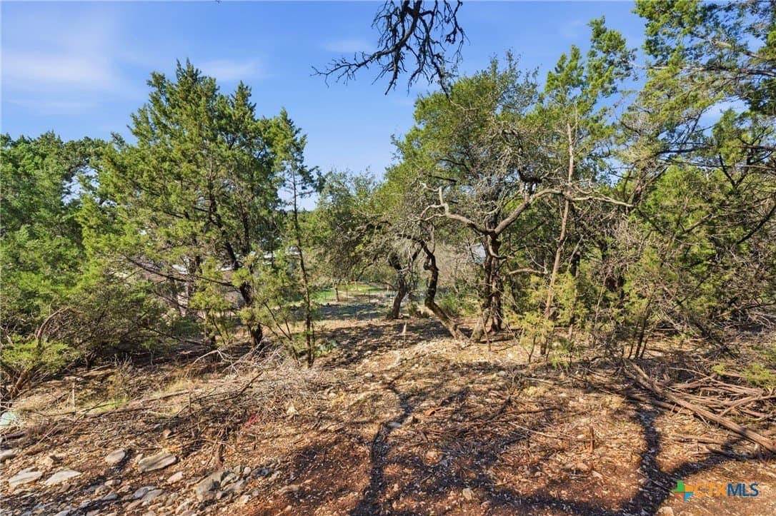 0.81 acres in Comal County - photo 8