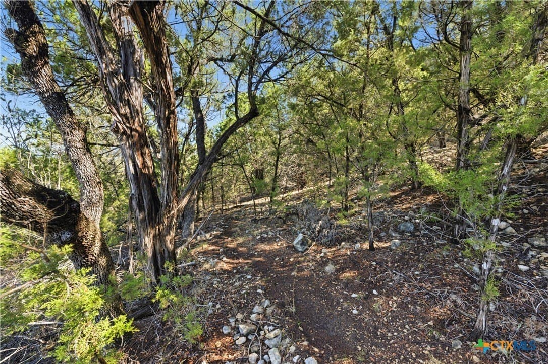 0.81 acres in Comal County - photo 6