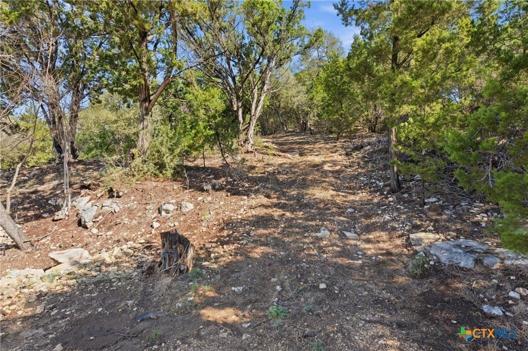0.81 acres in Comal County gallery image 3