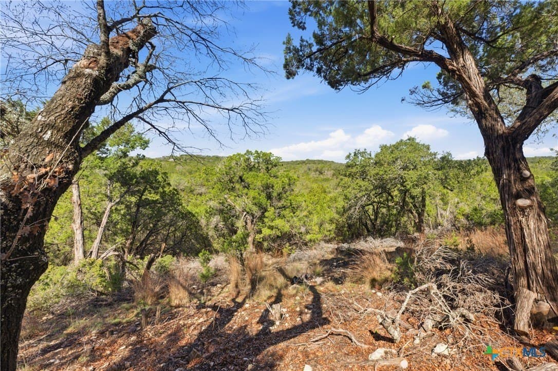 0.81 acres in Comal County - photo 14