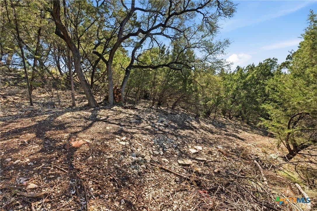 0.81 acres in Comal County - photo 9
