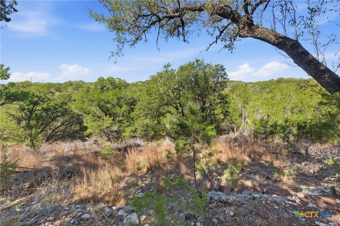 0.81 acres in Comal County - photo 18