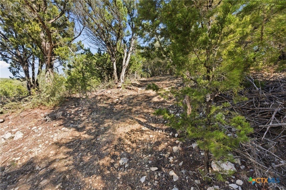 0.81 acres in Comal County gallery image 4