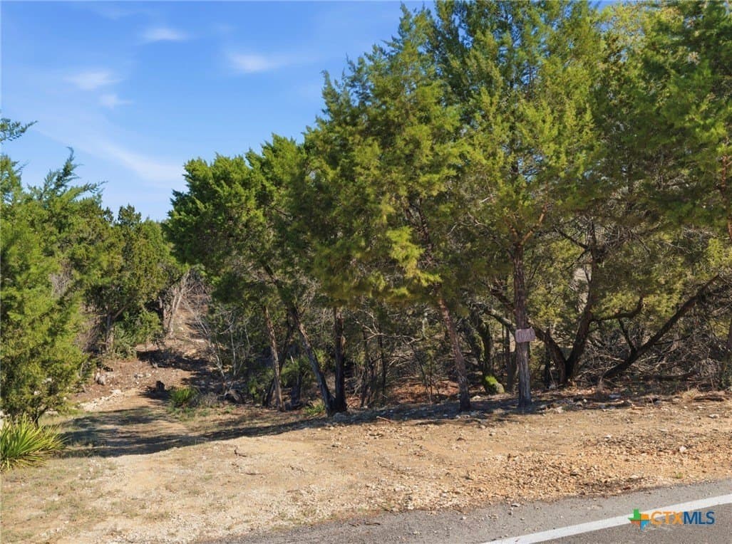 0.81 acres in Comal County gallery image 2