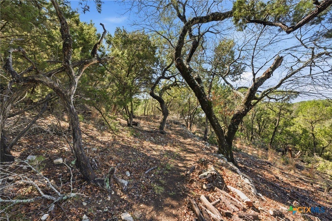0.81 acres in Comal County - photo 12