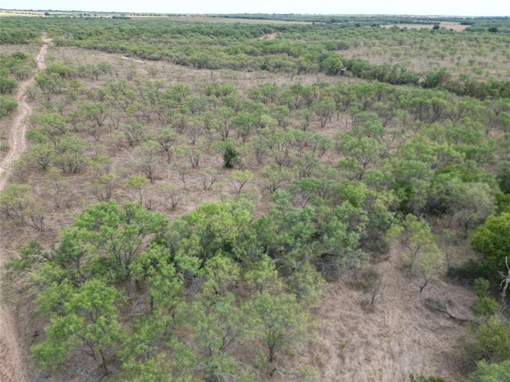 202.21 acres in Callahan County featured view
